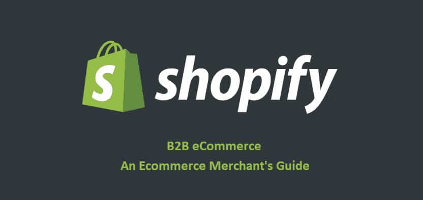 Shopify B2B: Your Next Growth Opportunity?