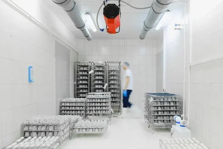 Worker walking through climate controlled cold storage facility with food-grade shelving and active ventilation system for temperature sensitive goods.