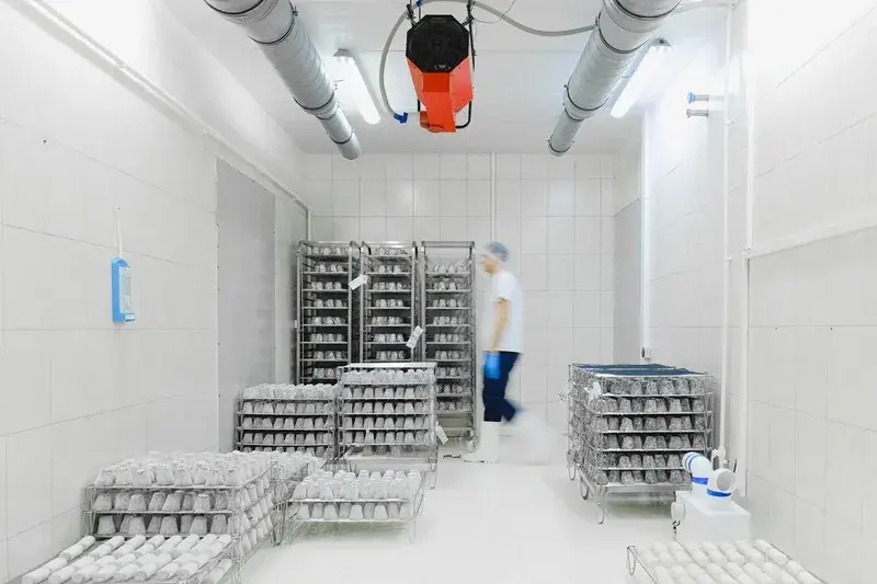Worker walking through climate controlled cold storage facility with food-grade shelving and active ventilation system for temperature sensitive goods.